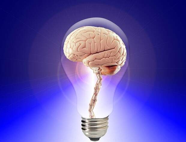 Мозг поглощает столько же энергии, сколько и электрическая лампочка интересно, исследования, мозг, наука, познание, ученые, факты, эксперименты