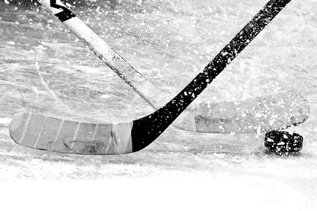 В Петербурге завели дело о крупном хищении в Федерации хоккея Ленобласти