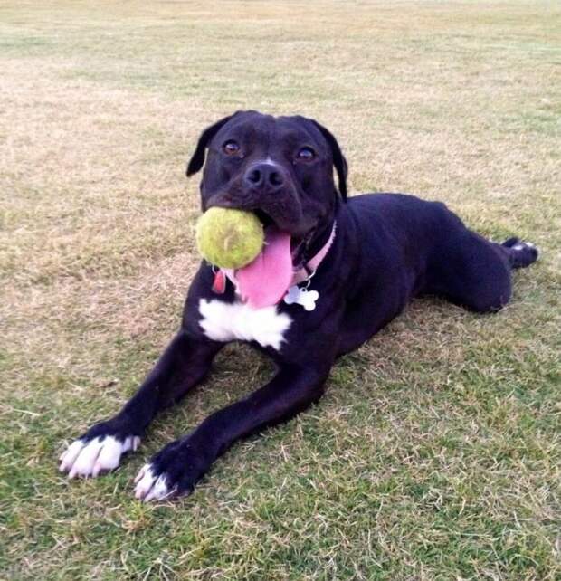 3-roxy