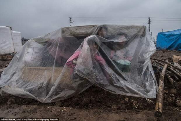 Дети-беженцы из Сирии прячутся от дождя во время транспортировки из турецкого лагеря в мире, дети, жизнь