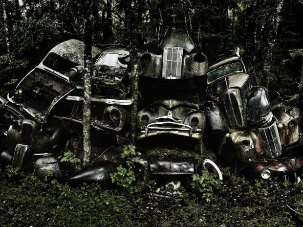 Природа против металла: 15 фотографий машин, застрявших в вечной пробке