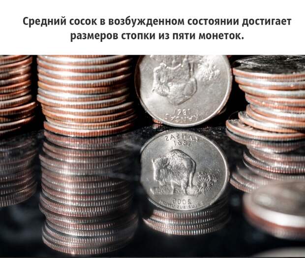 25 малоизвестных фактов о груди, которые должен знать каждый грудь, факты