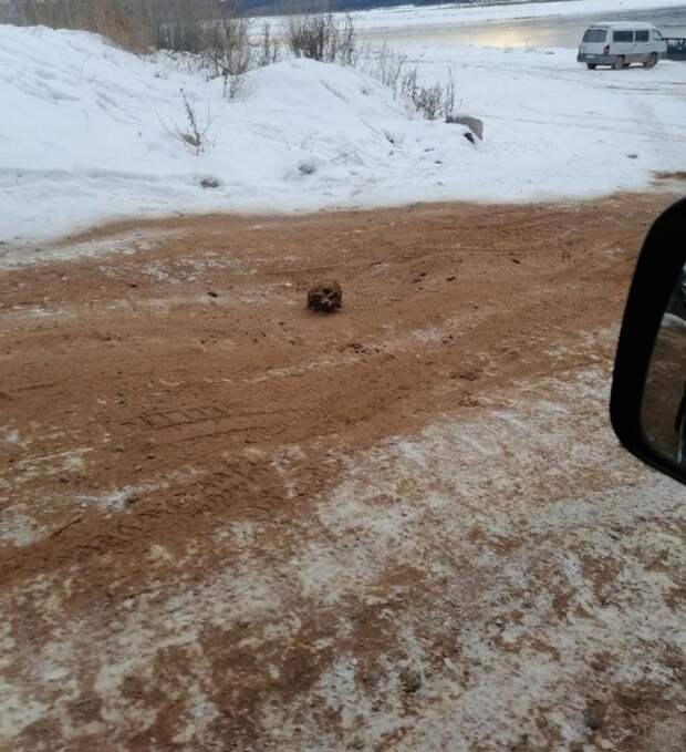 В Иркутской области дорогу посыпали песком с человеческими костями и черепами