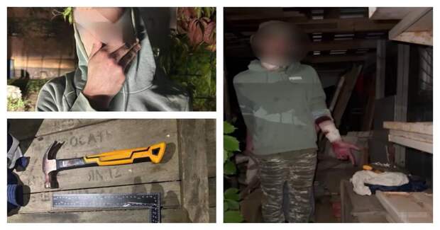 16-летний москвич напал с молотком на двух девочек в лесу