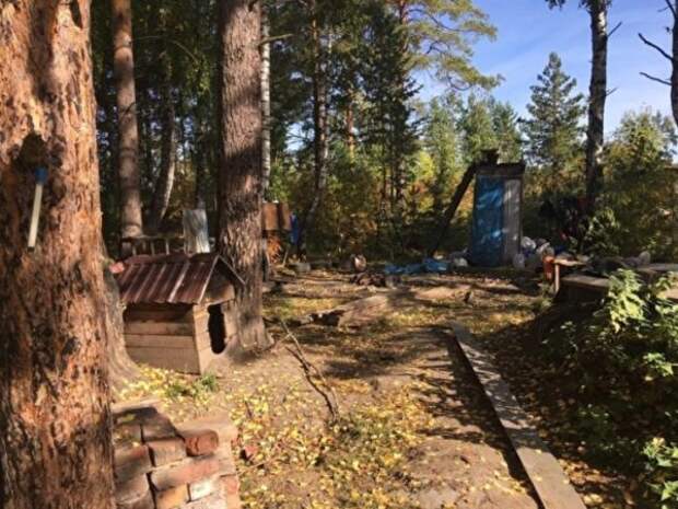 В Свердловской области осужденный скрывался в землянке