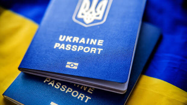 В Раде призвали не встающих на воинский учёт украинцев за рубежом сдать паспорта