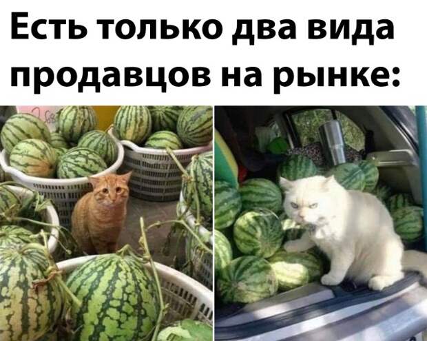 Смешные картинки вечер 25 октября 2021 года