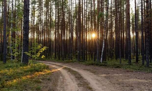 Экомаршруты Архангельской области вновь открывают сезон для путешественников