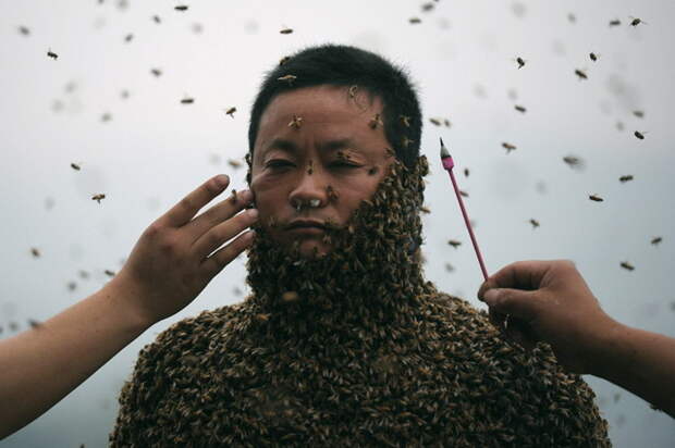 Вы удивитесь, когда узнаете, зачем этот человек ходит в костюме из пчел опасно, пчелы, фото