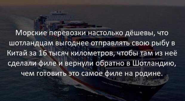 Интересные факты (40 картинок)