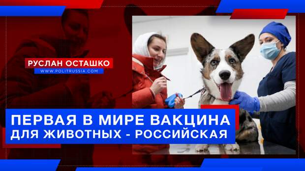 Россия зарегистрировала первую в мире антиковидную вакцину для животных