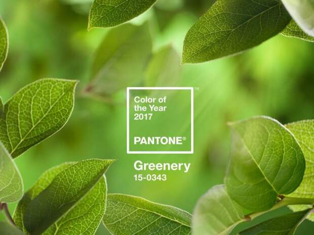 Pantone 2017 - Greenery