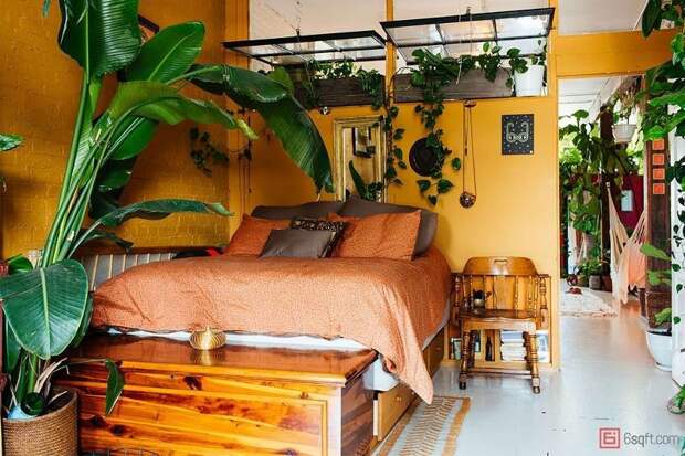 Cупермодель, выращивающая 500 растений в своей квартире девушка, модель, растения