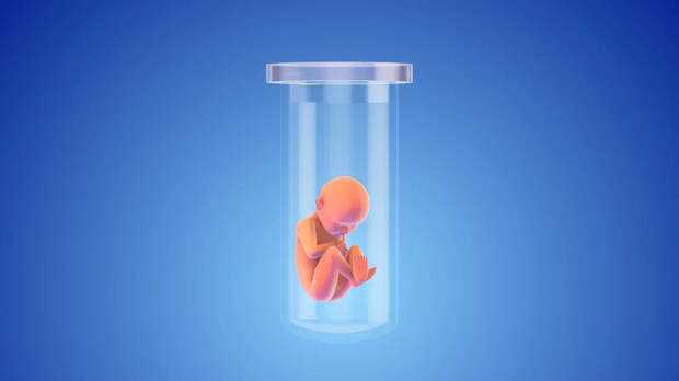 Гинеколог из Нидерландов тайно стал донором спермы для 16 детей своих пациенток