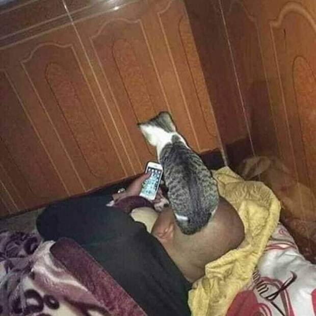 Забавные животные на снимках для поднятия настроения