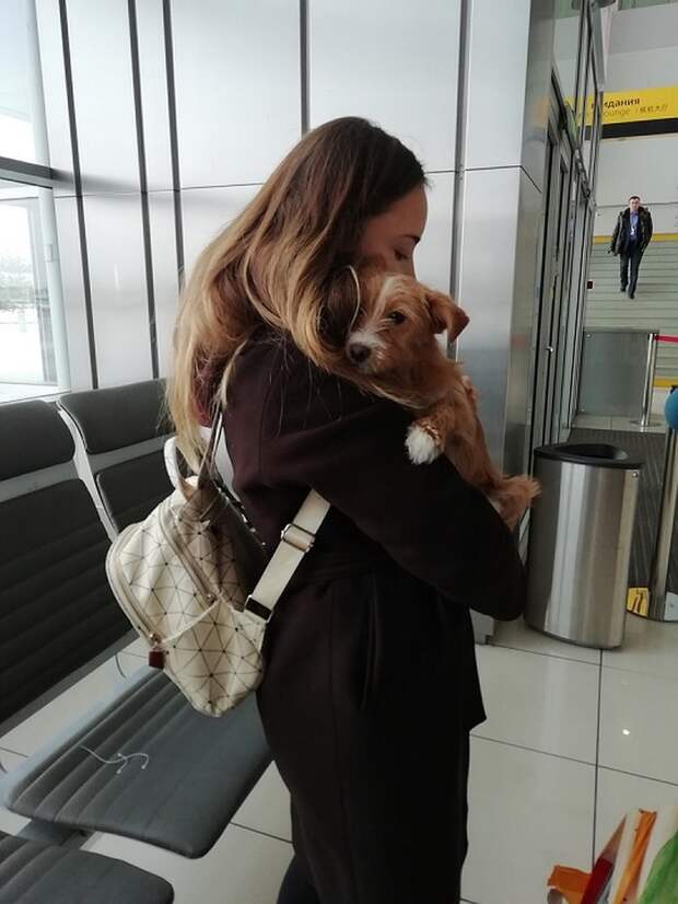 Лилия Сагидуллина успела привязаться к спасенной собачке. Фото: Елена Овсянникова 