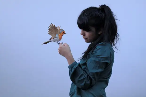 Невероятные бумажные птички от колумбийской художницы