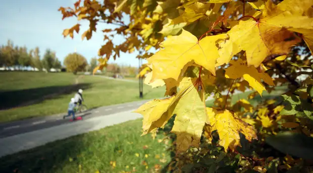 «Надвигается гигантский циклон-паук»: синоптики рассказали о погоде в Москве в выходные и на следующей неделе