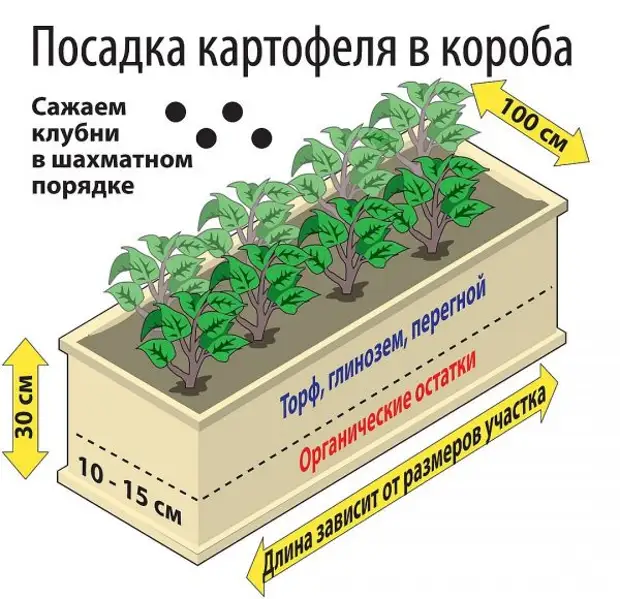 Выращивание картофеля в органических коробах