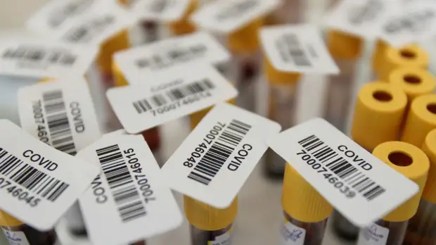 В России за сутки выявили 24 522 случая коронавируса