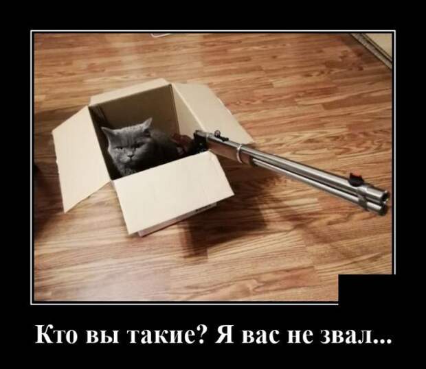 demotivatory-demotivator-smeshnye-demotivatory-demotivator-so-smyslom