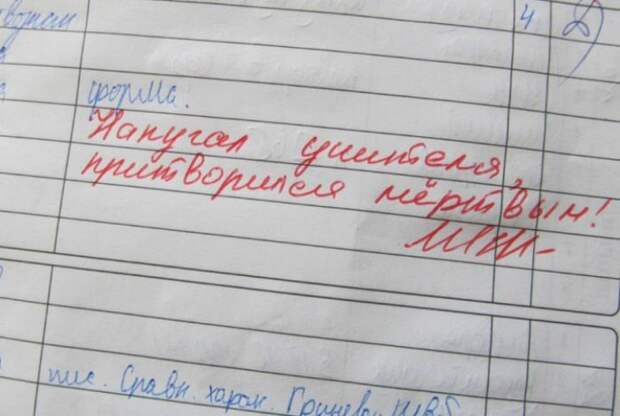 Прикольные замечания учителей из школьных тетрадей и дневников Прикольные замечания учителей из школьных тетрадей и дневников