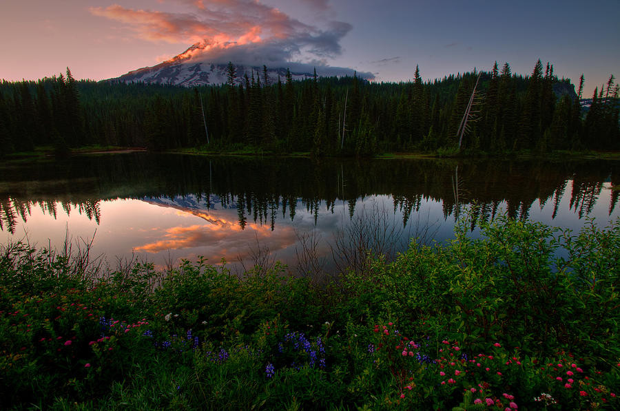 reflection-lake-wildflowers-dan-mihai.jpg