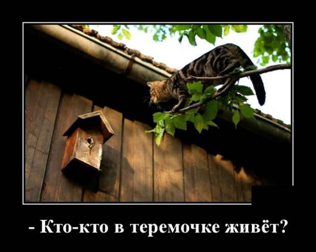 Демотиваторы (30 фото)