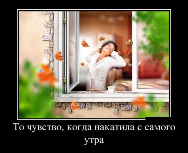 Забавные и прикольные демотиваторы для веселья