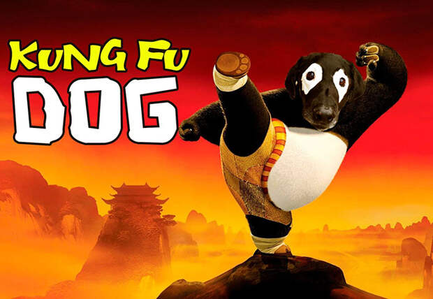 Kung Fu Dog