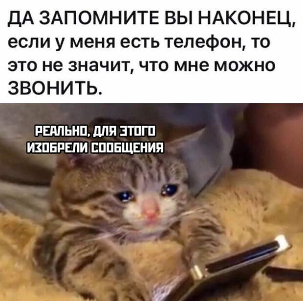 Смешные картинки вечер 11 июня