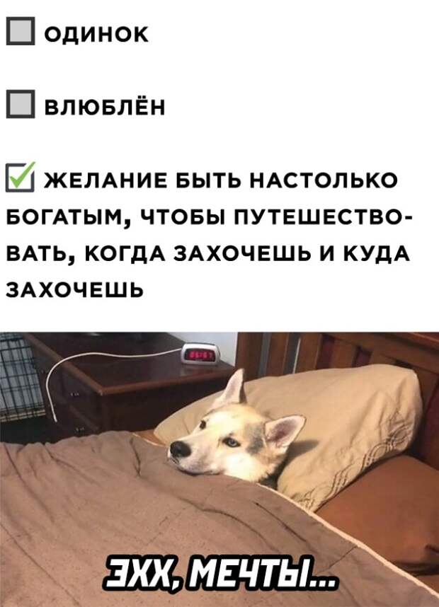 Смешные картинки вечер 10 марта 2021
