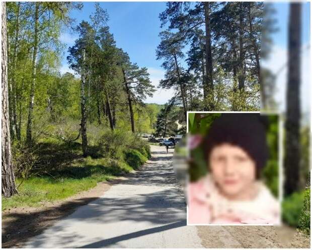 Поиски 8-летней школьницы Лизы прекратили в Новосибирске