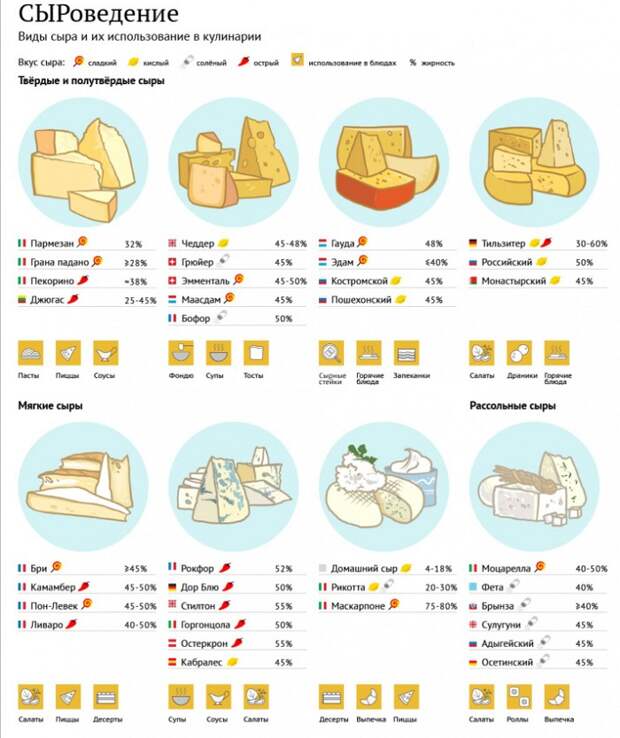 инфографика сыры