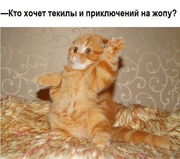 fBjVsObCzBU