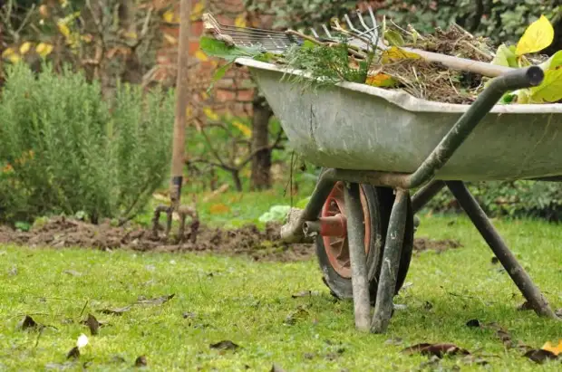 curățarea reziduurilor vegetale