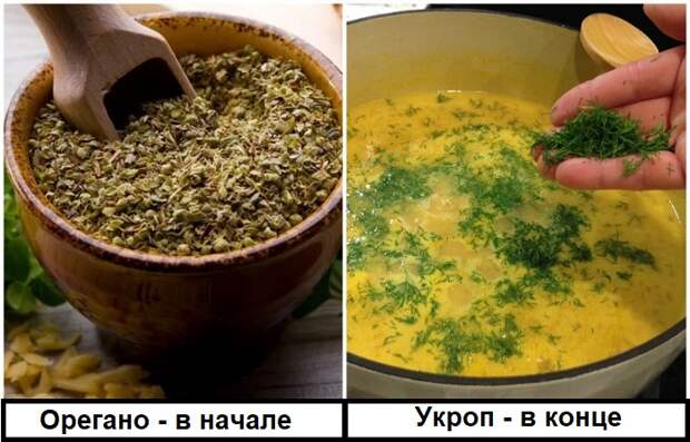 От вида зелени зависит этап, когда ее нужно класть в блюдо