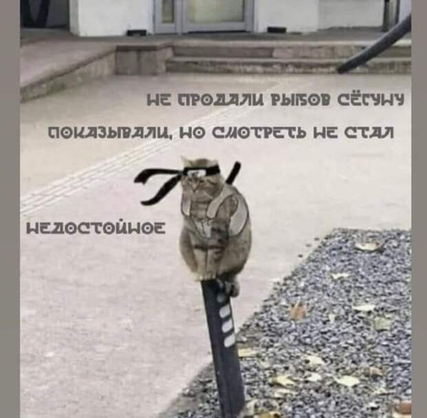 Лучшие шутки и мемы из Сети