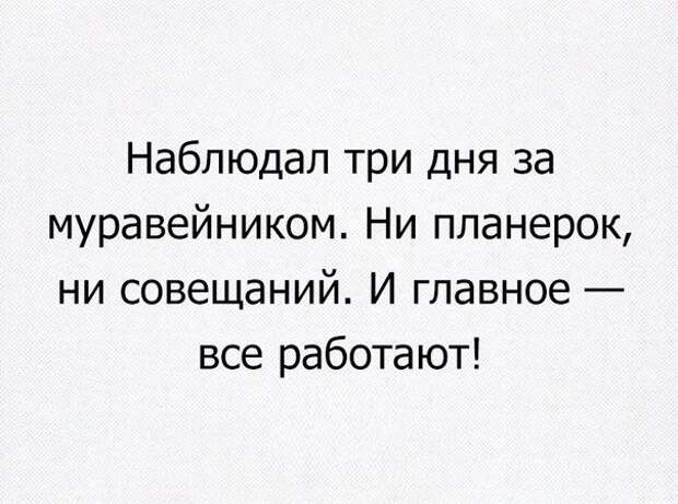 Со здоровьем не шутят: у него нет чувства юмора! открытки, приколы, юмор