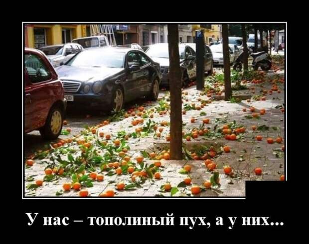 Демотиваторы (30 фото)