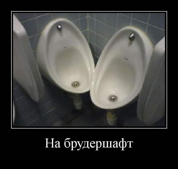 Демотиваторы (30 фото)