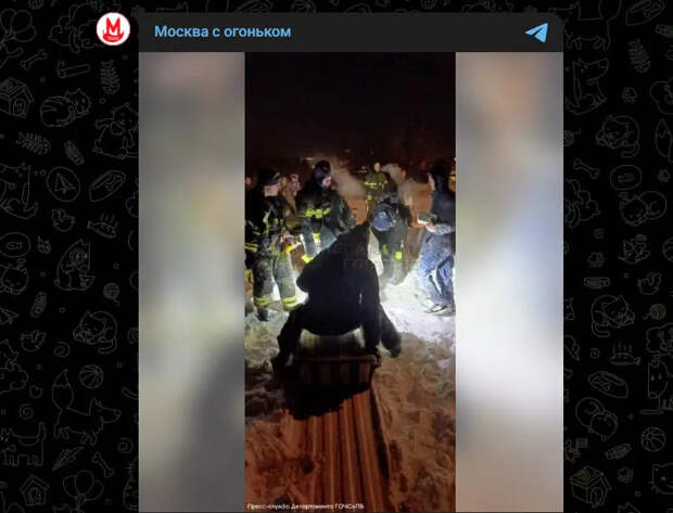 Спасатели вынесли потерявшую сознание девушку из заснеженного леса в Новой Москве