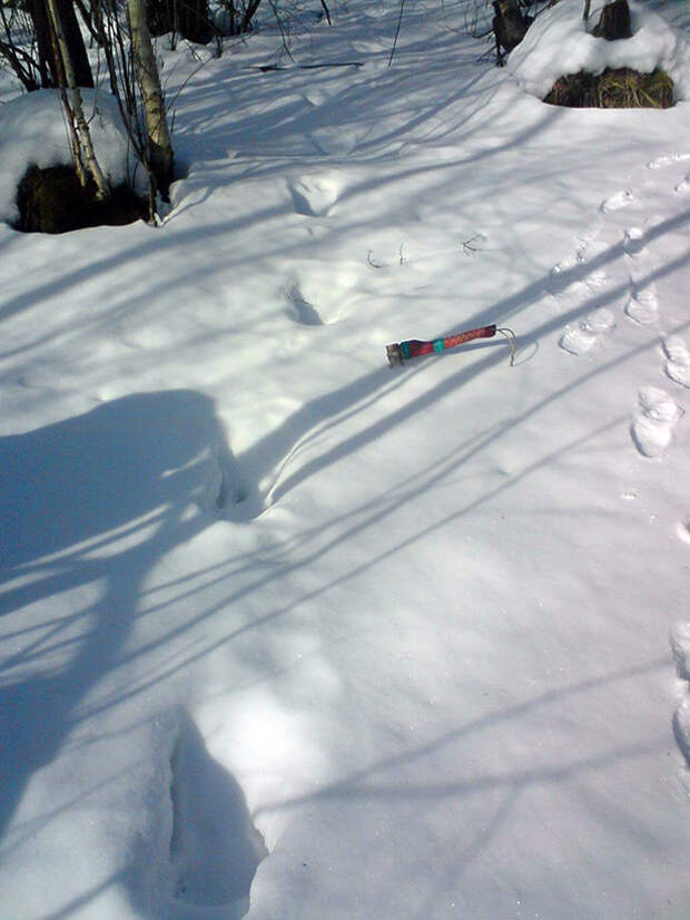 Свидетельство странных следов на снегу в Кировской области