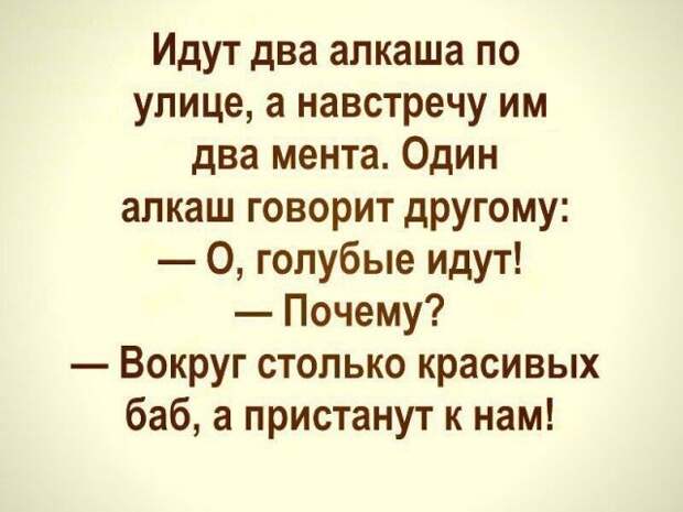 Картинки с надписями картинки с надписями, прикол, юмор