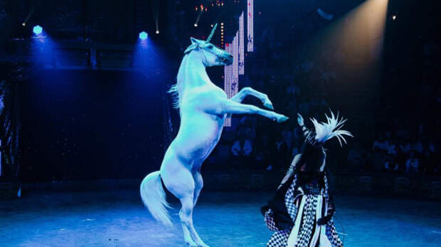 Крымчане раскупили билеты на 9 «Королевских шоу» Гии Эрадзе