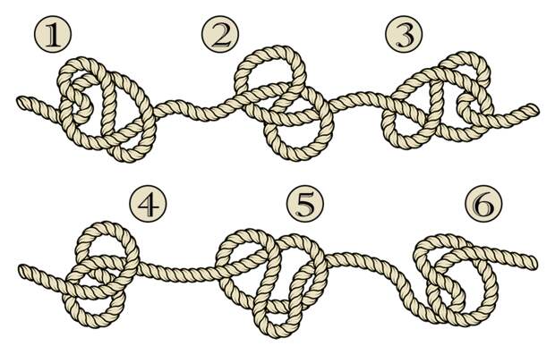 Тест на внимательность: найдите за 1 минуту какие узлы на картинке завяжутся, если потянуть за концы веревки