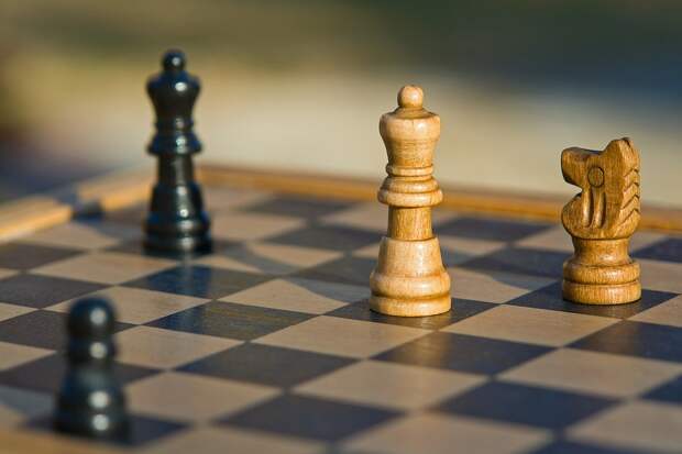 Шахматы / фото: pixabay.com