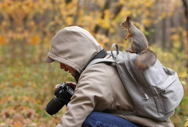 лучшие фотографы дикой природы