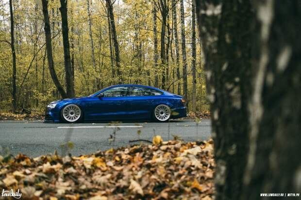 bagged audi a5 sportback 5