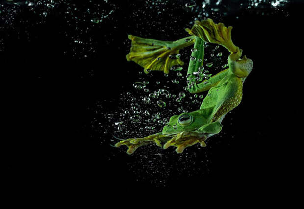 В своей родной стихии.